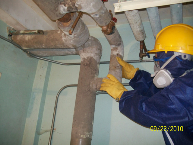 Asbestos Testing Toronto