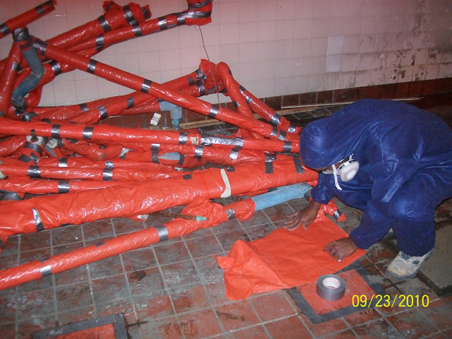 Asbestos Removal Hamilton