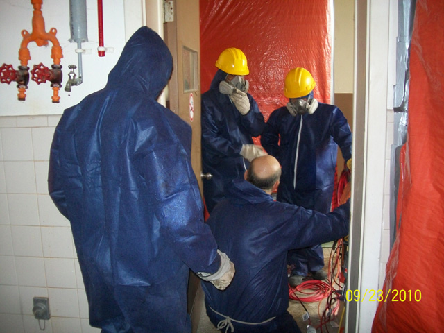 Cost Of Asbestos Removal
