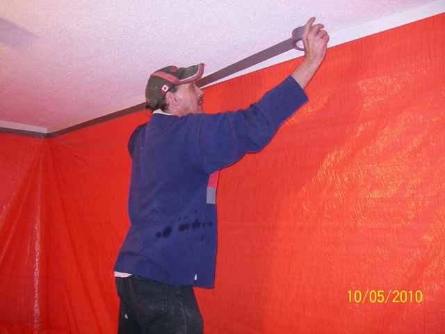 Asbestos Removal Toronto